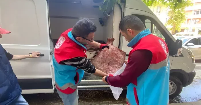 Sinop ta kaçak avlanan 363 kalkan balığı vatandaşlara dağıtıldı