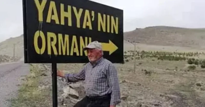 Oğlunun acısıyla orman kurdu şimdi kendi de orada yatıyor Sözcü Gazetesi