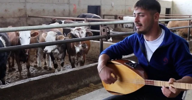 Ankara da besici Batuhan Koyuncu Hayvanları için saz çalıp türkü seslendiriyor VİDEO İZLE
