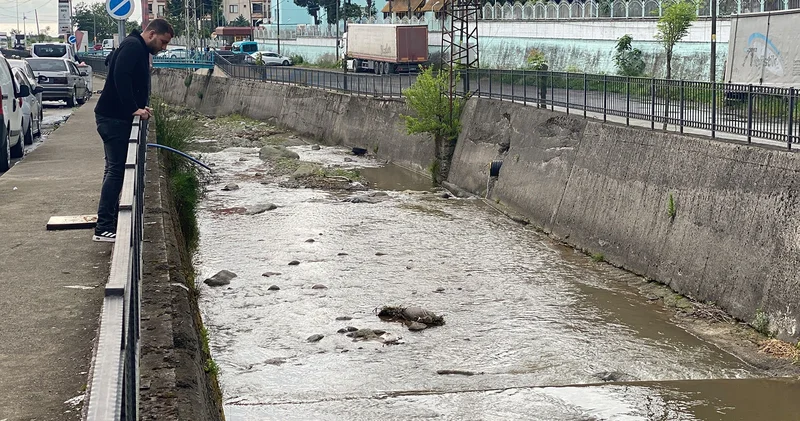 Rize de derede balık ölümlerine inceleme