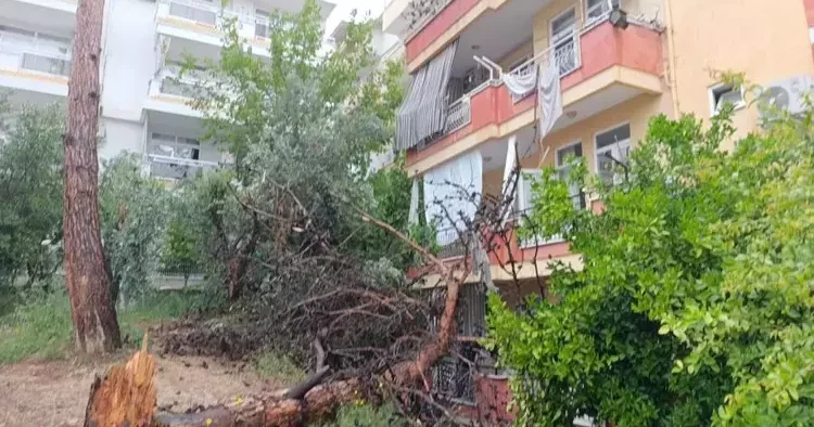 Rüzgar ve yağmura dayanamadı! Binanın üzerine devrildi