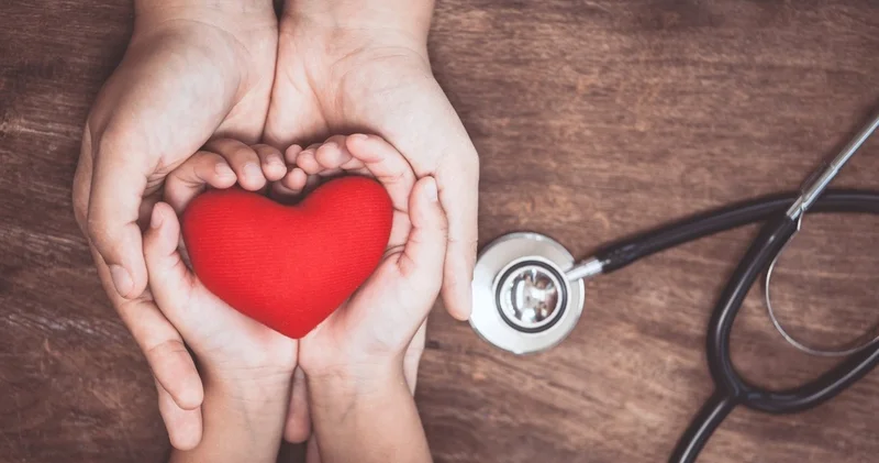 Kalbinizi tanıyor musunuz? Yorulmadan çalışan bu organ nasıl işliyor?