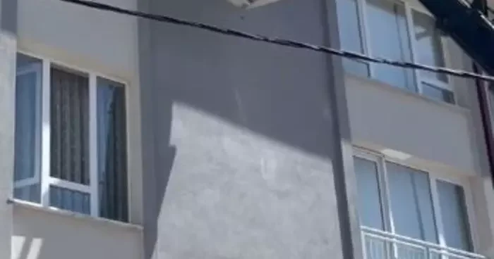 İpe takılarak mahsur kalan kuş kurtarıldı