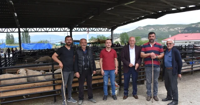 Boyabat ilçesinde canlı hayvan pazarı açıldı Sinop Haberleri
