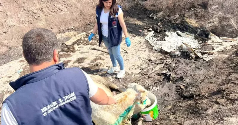 Yangın bölgesinde acı bilanço! Kepçelerle taşındılar