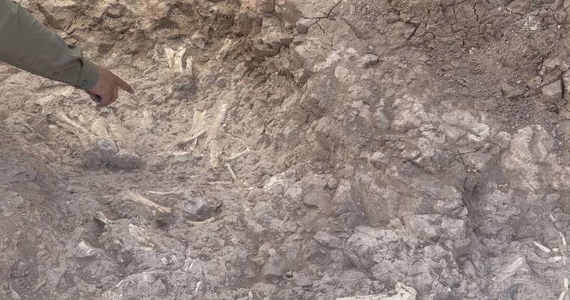 Keçi çobanı keşfetmişti... 7.7 milyon yıllık! Burası her sene bizi şaşırtıyor
