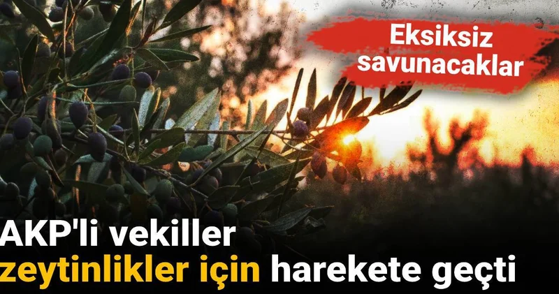 AKP li vekiller zeytinlikler için harekete geçti: Eksiksiz savunacaklar