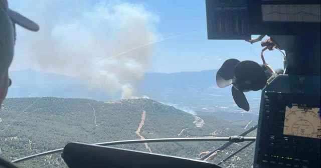 Manisa da bir orman yangını daha başladı Manisa Haberleri