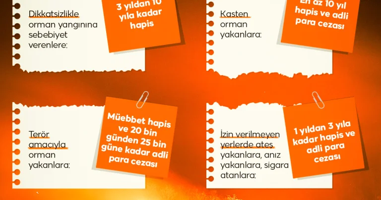 Ormana zarar vermenin bedeli ağır
