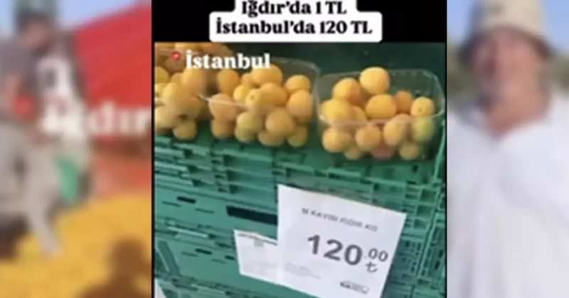 Iğdır da kayısı 1 TL, İstanbul da 120 TL paylaşımına milyonluk ceza