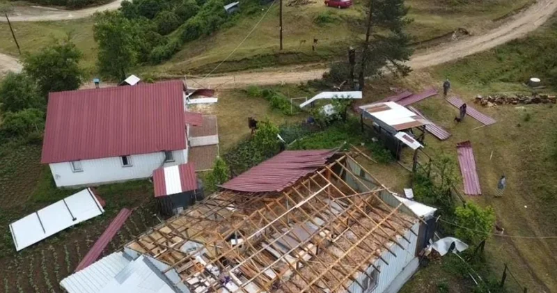 Sakarya da şiddetli rüzgar ağaçları devirdi, çatıları uçurdu
