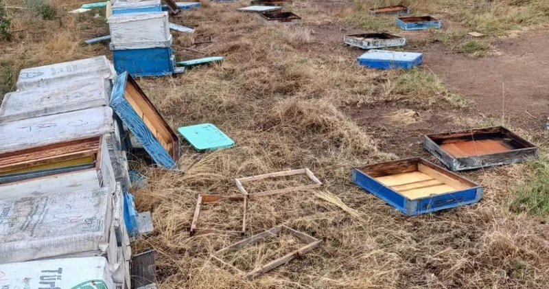 Hayrabolu da hortum! 163 arı kovanı zarar gördü