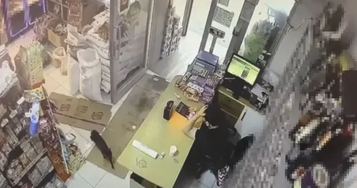 Markette kutuyu hareket ettiren kedi panik yaşattı: O anlar kamera yansıdı