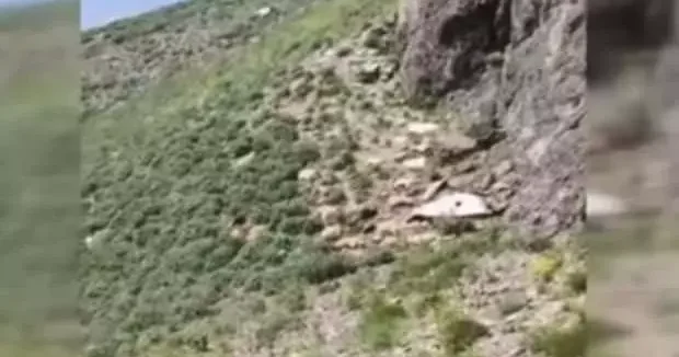 Hakkari haberleri Yüksekova da uçurumdan atlayan çok sayıda koyun telef oldu 01 Temmuz 2025