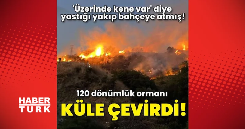 Bir kene 120 dönüm alanı küle çevirdi