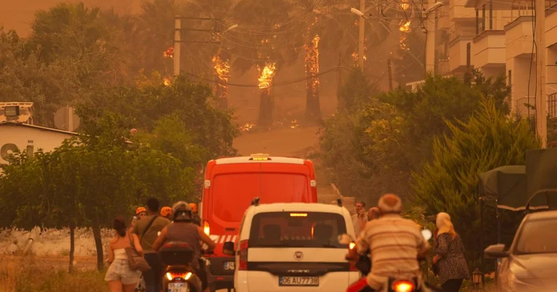 Türkiye de 5 günde 342 yangın çıktı
