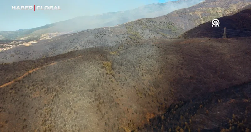 Hatay da devam eden orman yangınında zarar gören alanlar havadan görüntülendi