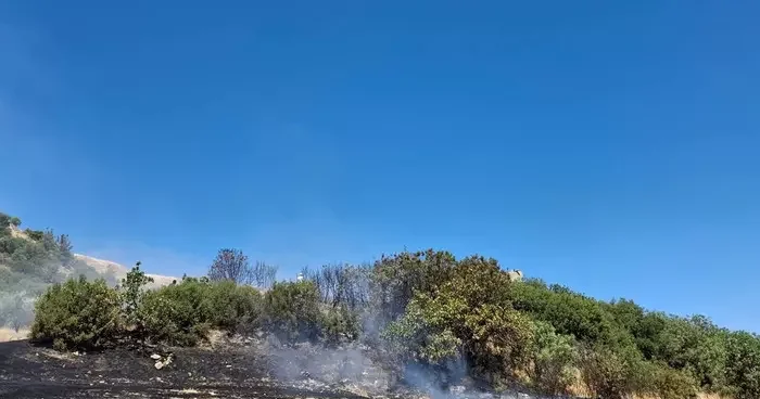 Manisa da anız yangını korkuttu! Ormana sıçramadan müdahale edildi