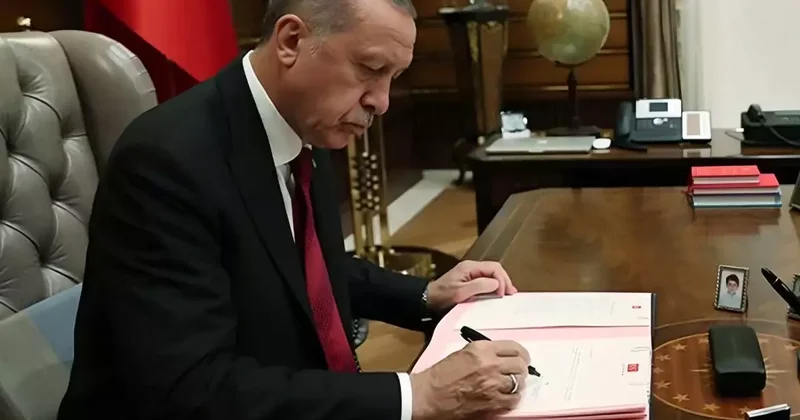 Bazı üniversitelerde yeni fakülte ve enstitüler kuruldu, bazıları kapatıldı