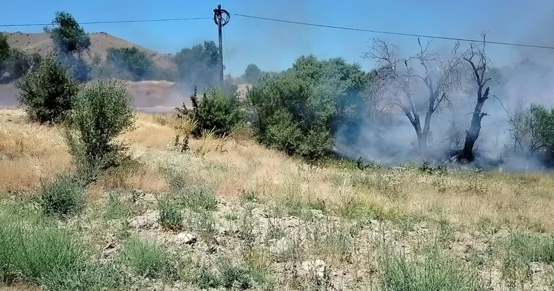 Elazığ da korkutan yangın: Onlarca dönümlük alan kül oldu