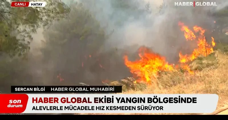 Haber Global yangın bölgesinde: Hatay da alevlere karşı amansız mücadele