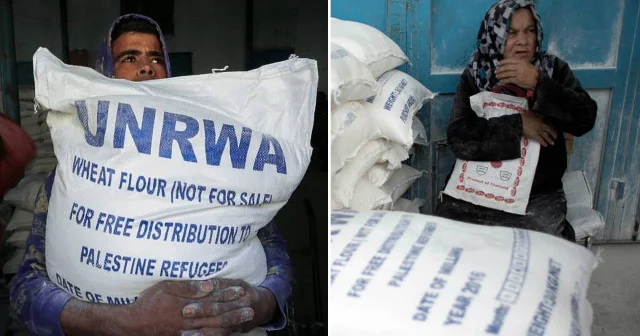 Filistin Kurtuluş Örgütü: Gazze Şeridi ne yardımlar sadece UNRWA üzerinden ulaştırılsın Dünya Haberleri