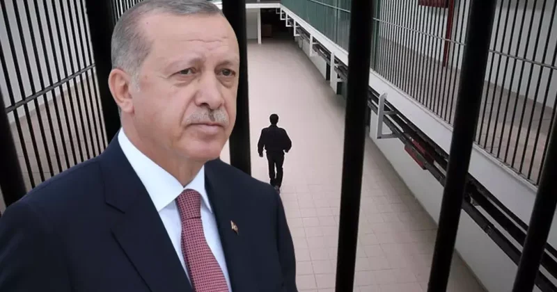 Cumhurbaşkanı Erdoğan, 9 hükümlünün cezasını kaldırdı