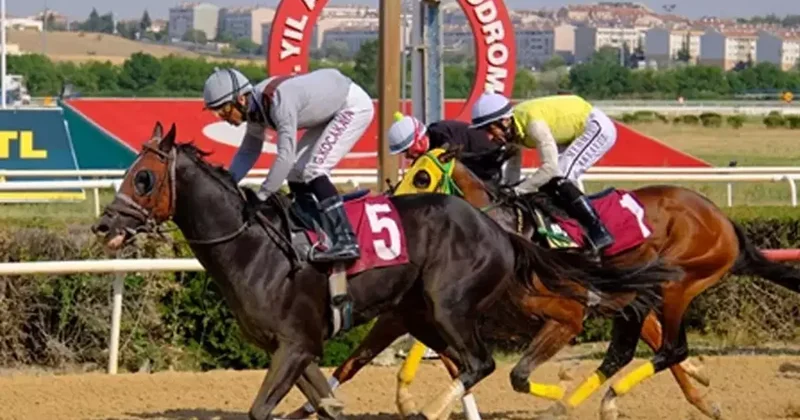 Ankara Gazeteciler Cemiyeti Koşusu nu kazanan Black Pablo oldu Spor Haberleri