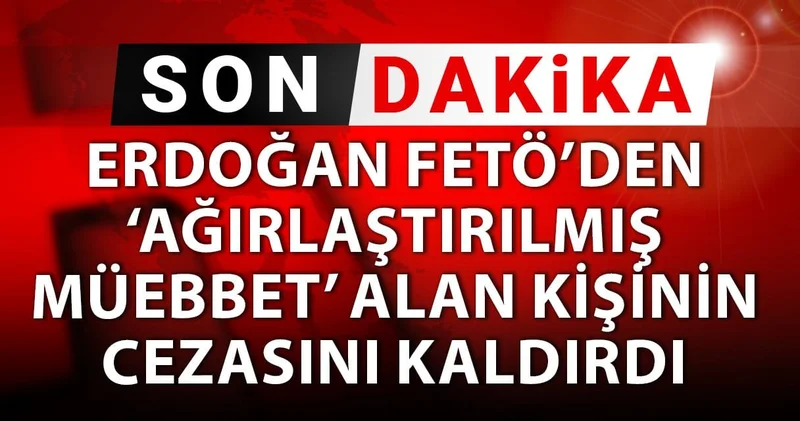 Son Dakika Erdoğan FETÖ’den ‘ağırlaştırılmış müebbet’ alan kişinin cezasını kaldırdı