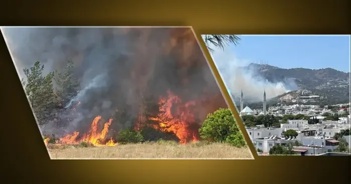 Bursa ve Bodrum da orman yangını! Ekipler bölgede
