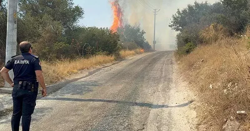 Bodrum da maki yangını