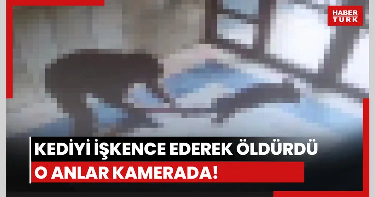 Kediyi tekmeleyerek öldüren kişiye soruşturma