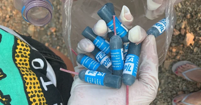 Çocukların torpille oyunu ağaçları küle çevirdi Bursa Haberleri