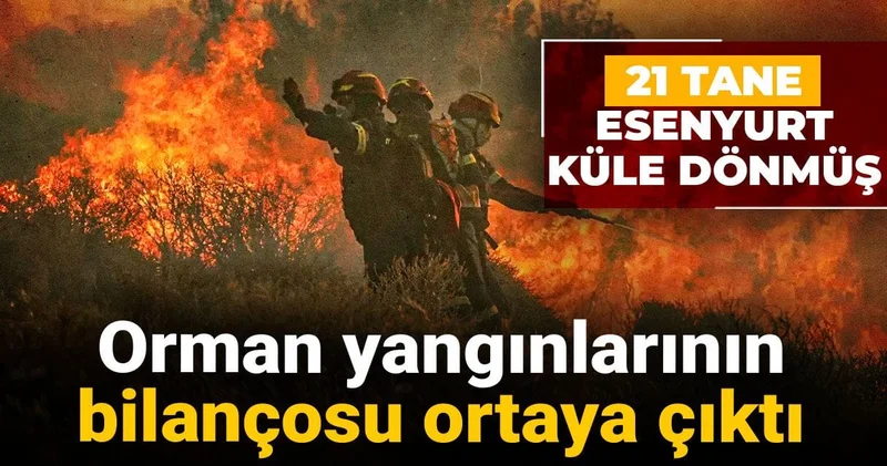 Orman yangınlarının bilançosu ortaya çıktı: 21 tane Esenyurt küle dönmüş