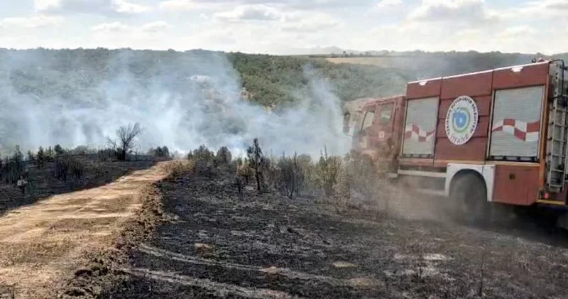 Tekirdağ’da çıkan yangın ormana sıçradı! 1 saatte kontrol altına alındı