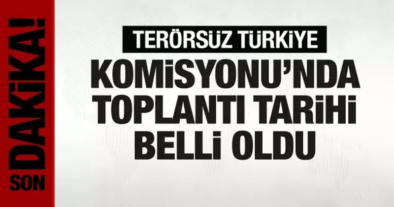 Terörsüz Türkiye Komisyonu nda ilk toplantı tarihi belli oldu! İşte masadaki konular