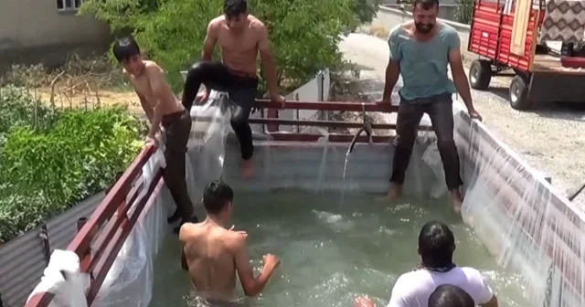 Traktör römorkunu havuza çevirip çocukları serinletti VİDEO İZLE