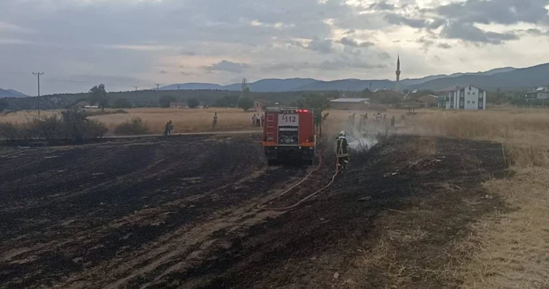 Kopan elektrik telleri anız yangını çıkardı