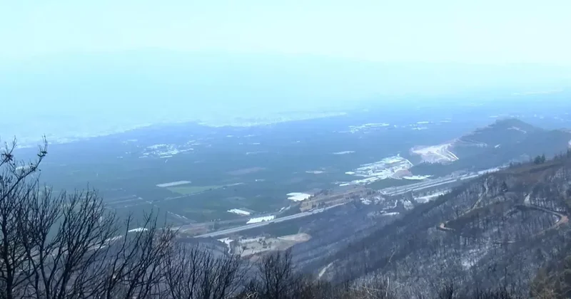 Bursa daki Yangınlar Nedeniyle Hava Kalitesi Düştü, Solunum Şikayetleri Arttı