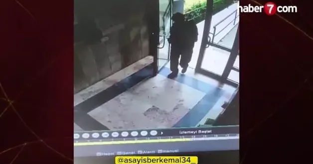 Dakikalarca işkence ettiği kediyi canice öldürdü! O anlar kamerada...