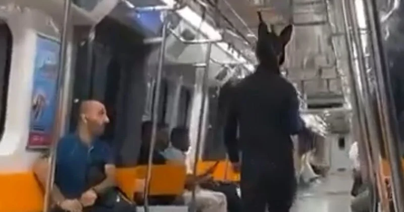 İfadesi ortaya çıktı: Maskeli partiden dönüyordum! Son dakika haberleri