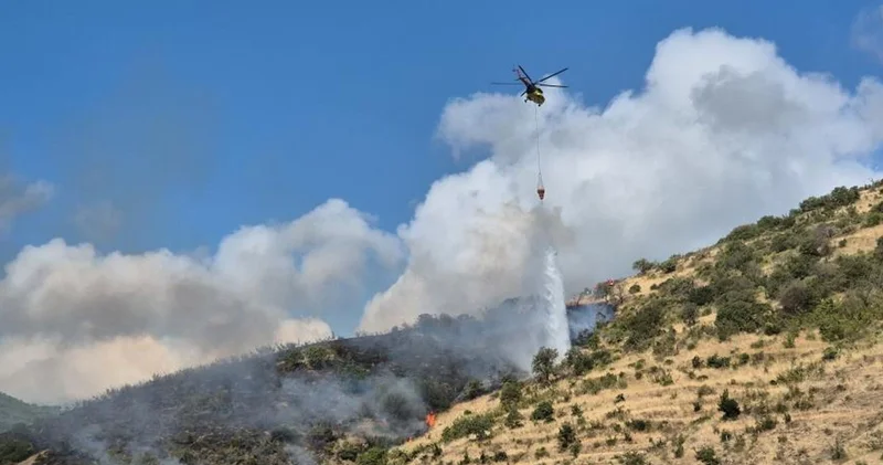 Şarköy de makilik alanda çıkan yangın kontrol altına alındı