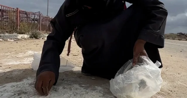 Gazzeli kadın kıtlık sebebiyle yere dökülen unu elleriyle topladı VİDEO İZLE