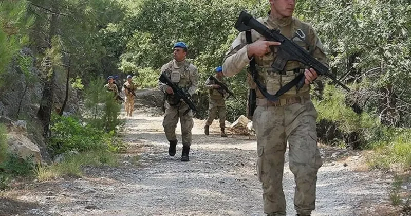 Jandarma kışlada değil, tarlada nöbet tutuyor: Kilosu rekor seviyeleri gördü