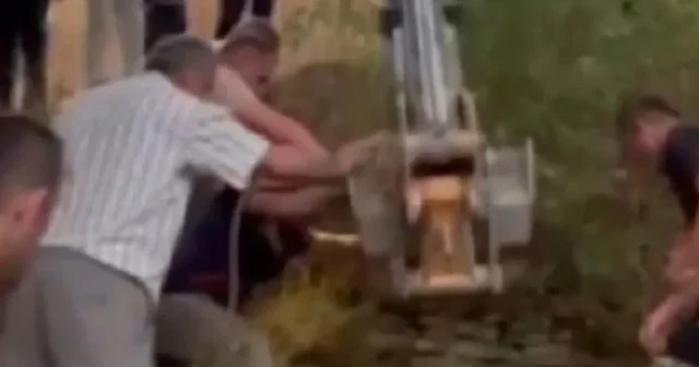 Kastamonu da su kuyusuna düşen ineği kurtarmak için seferber oldular VİDEO İZLE