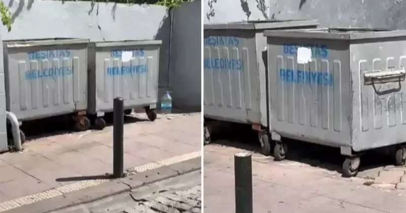 Bebeğini öldürüp çöpe atan cani anneden kan donduran itiraflar