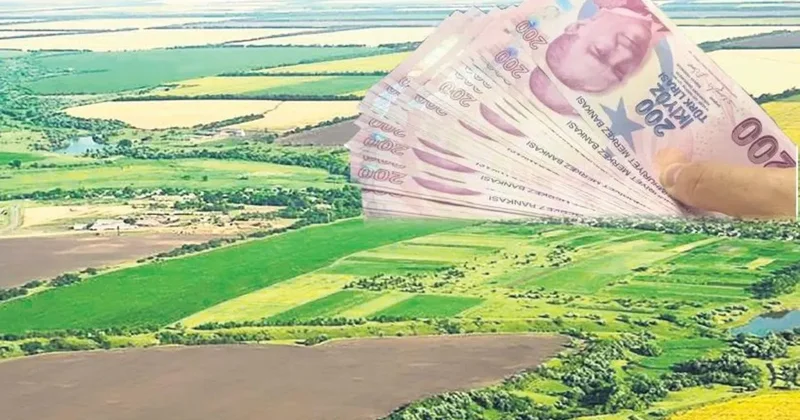 Ekilmeyen arazi düzenlemesi bugün başlıyor: 300 bin dekar araziyi devlet kiraya verebilir