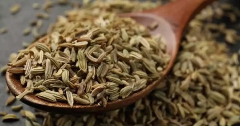 Binlerce besin arasından seçilen dünyanın en sağlıklı yiyeceği belli oldu