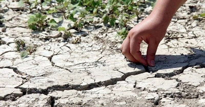 Türkiye’nin en kurak bölgeleri açıklandı: Son 65 yılın en kritik dönemi Sözcü Gazetesi