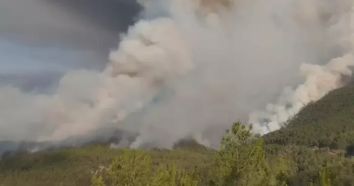 Karabük teki yangın Kastamonu ya sıçradı! Yabancı uyruklu 5 kişi gözaltına alındı
